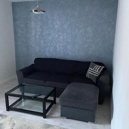 Centru Vechi Apartament Apartment Suceava Bagian luar foto